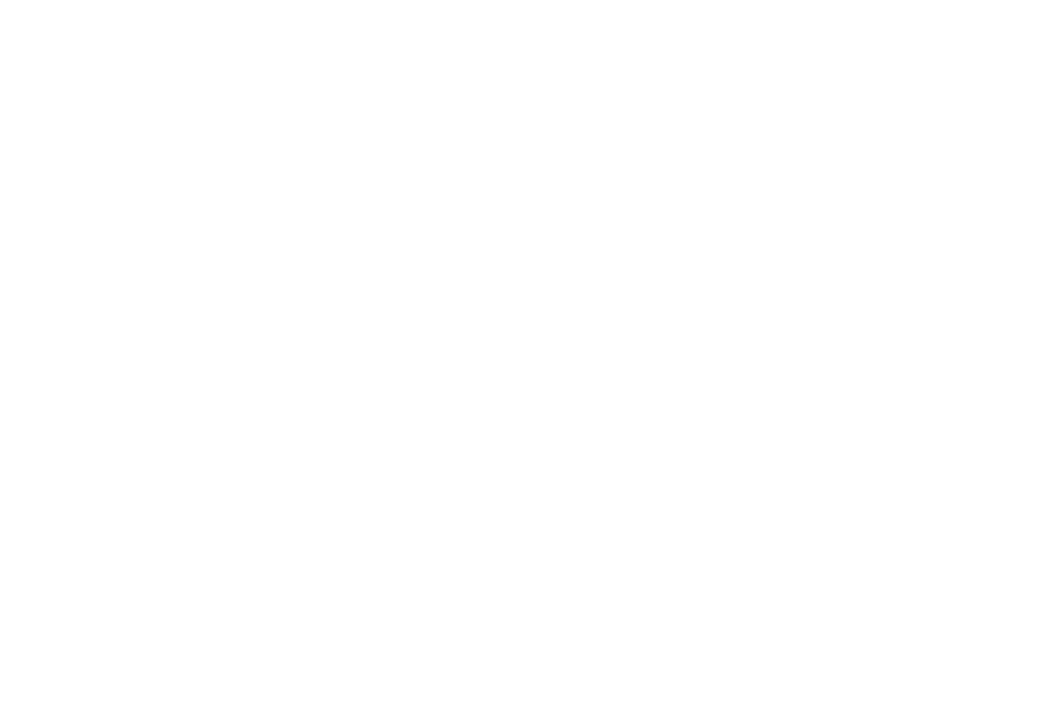 VTT_Negative_White_logo (2)